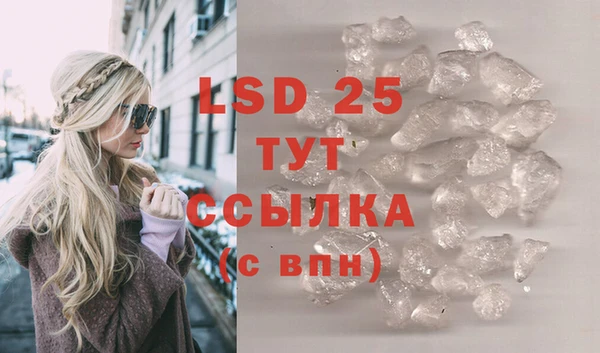 спиды Алексеевка