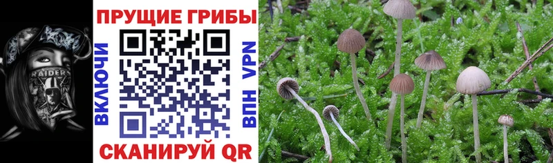 Галлюциногенные грибы Magic Shrooms  цена   Кемь 